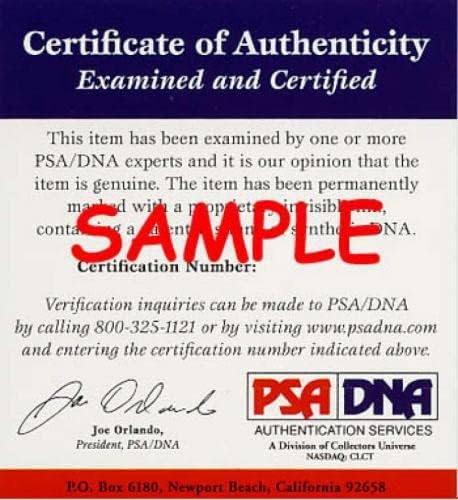 Don Mattingly PSA DNA İmzası Major League OML İmzalı Beyzbol - İmzalı Beyzbol Topları