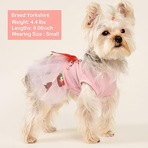Köpek Elbise Küçük Köpekler için Kız Pet Doggie Köpek Tutu Prenses Sequins Çilek Tül Elbise İlkbahar Yaz, (X-Large,