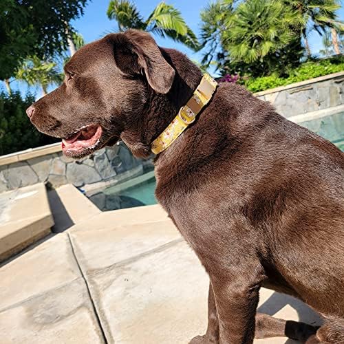 Mat Altın Metal Tokalı Sam & Maui Pamuklu Çiçekli Köpek Tasması, 13-Hardal, Orta