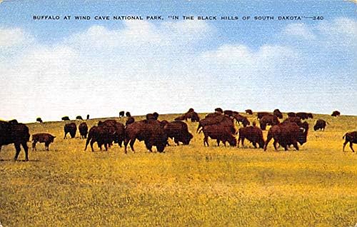 Buffalo Rüzgar Mağarası Ulusal Parkı Black Hills, Güney Dakota SD Kartpostallar