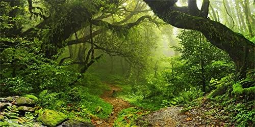 Yeele 20x10ft Büyülü Orman Zemin Büyük Vinil Fotoğraf Arka Plan Orman Orman Toprak Yol Doğa Manzara Zemin Kamp Yürüyüş